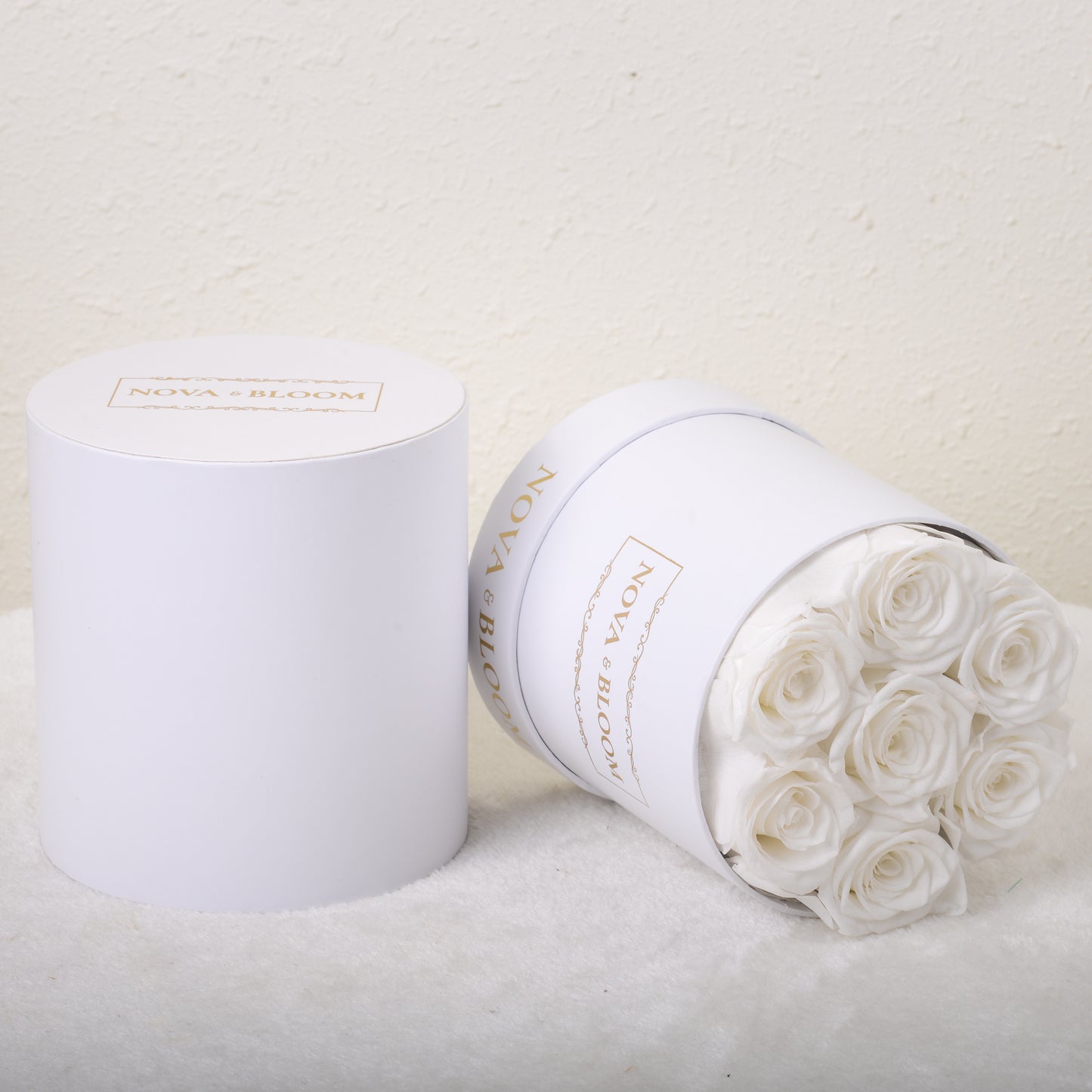 Medium White Round Arrangement - White Preserved Roses - Front View With Box