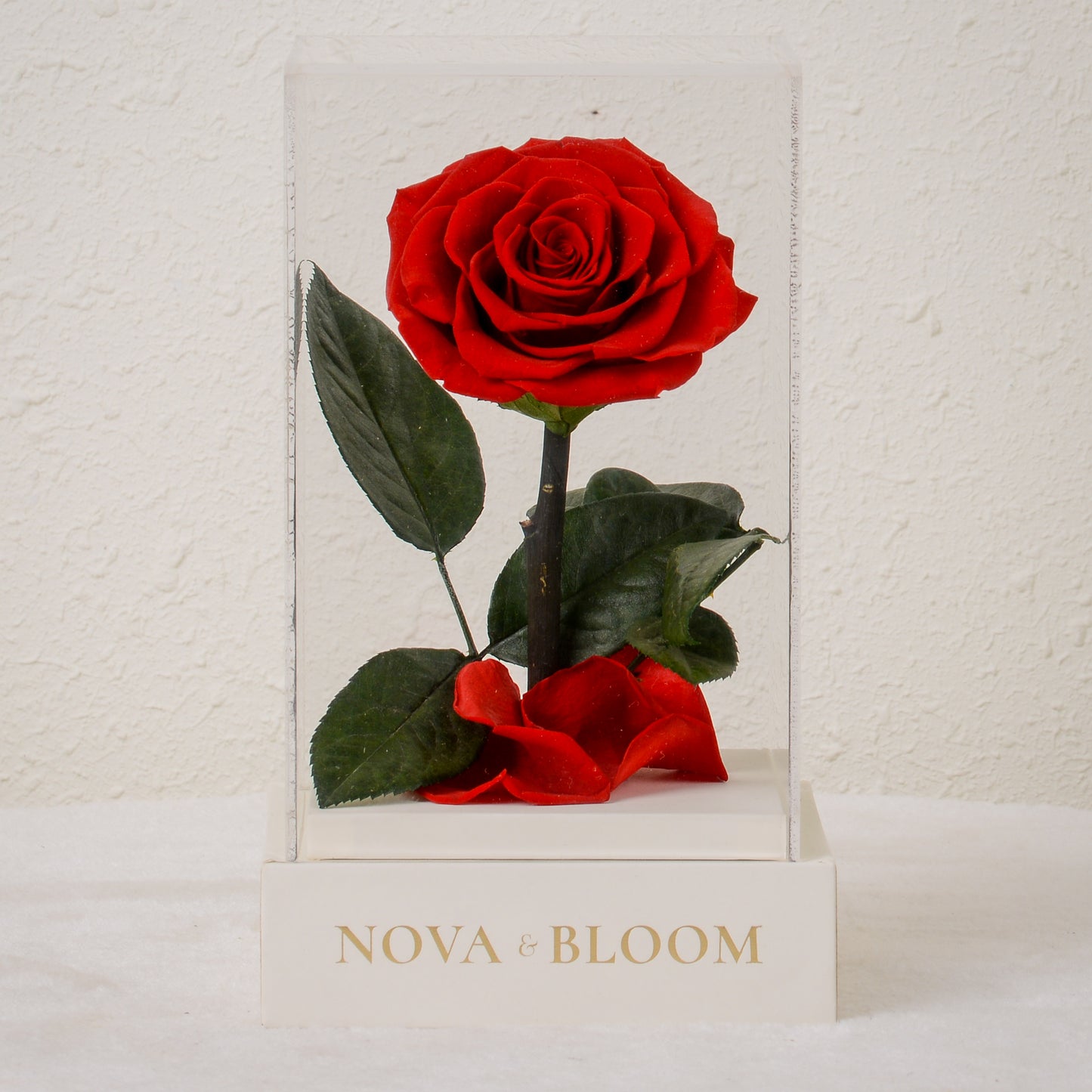 Single Stem Preserved Rose in Acrylic Box - Red Rose - Front View