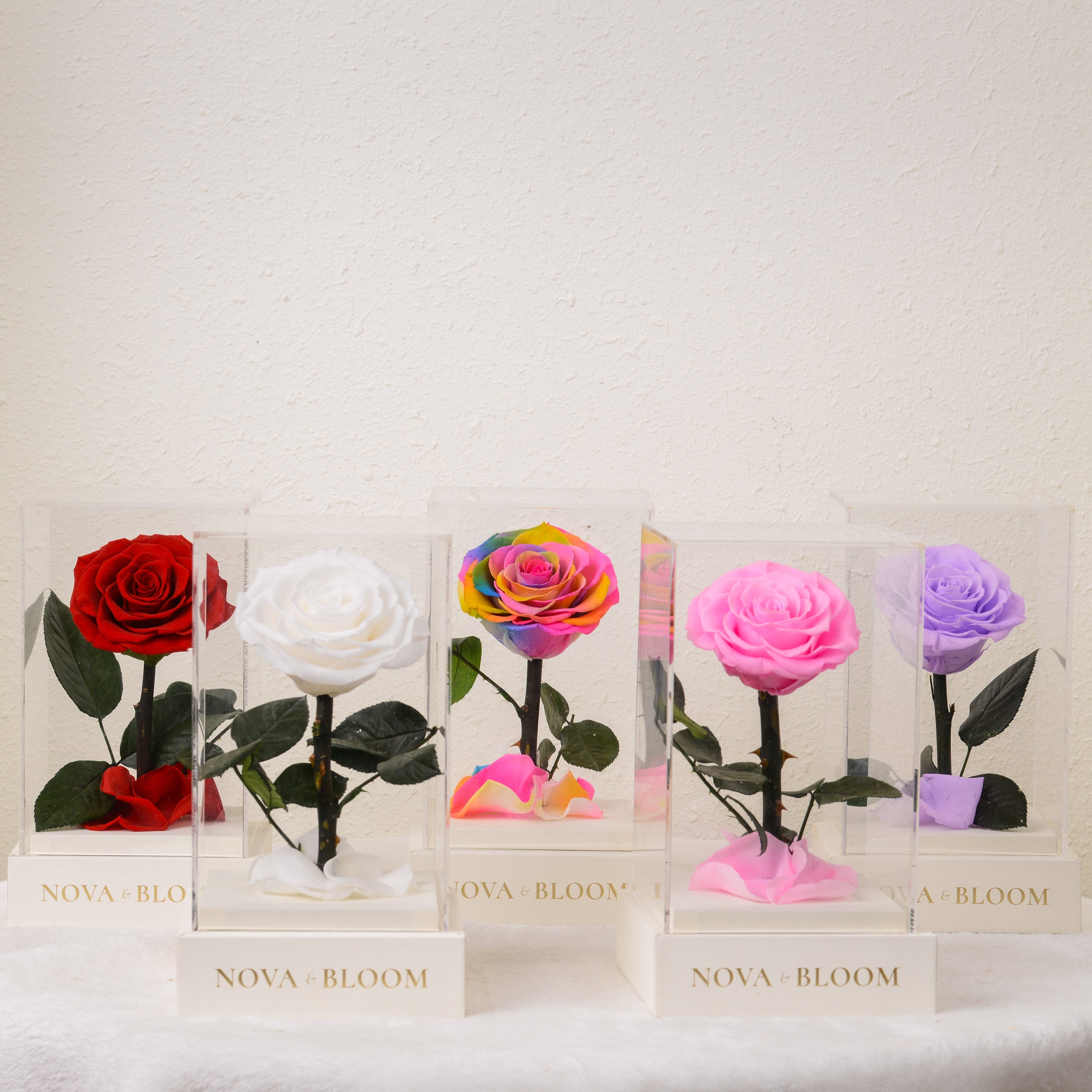 Luxury Single Stem Eternal Roses – Nova & Bloom