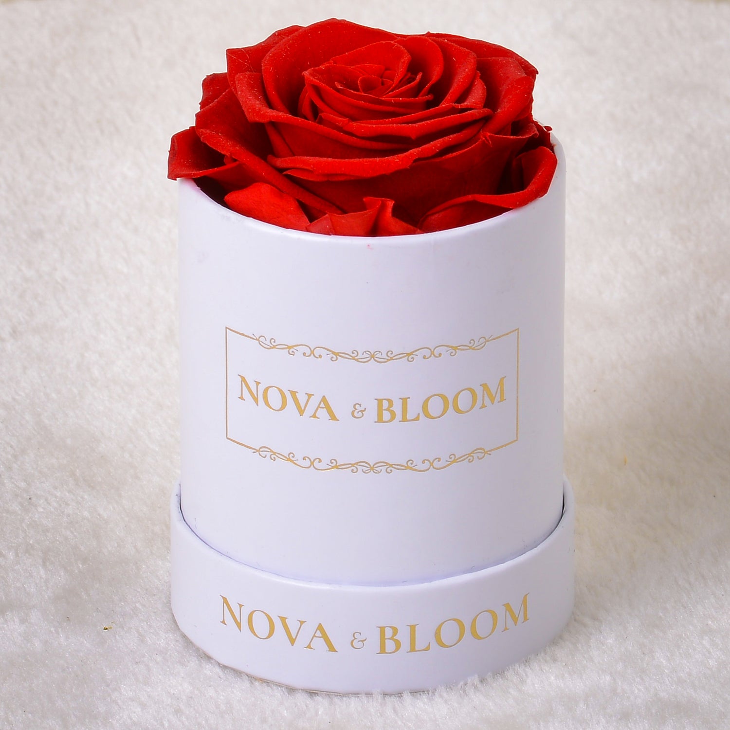 Single White Round Eternal Bloom - Red Preserved Rose - Front View