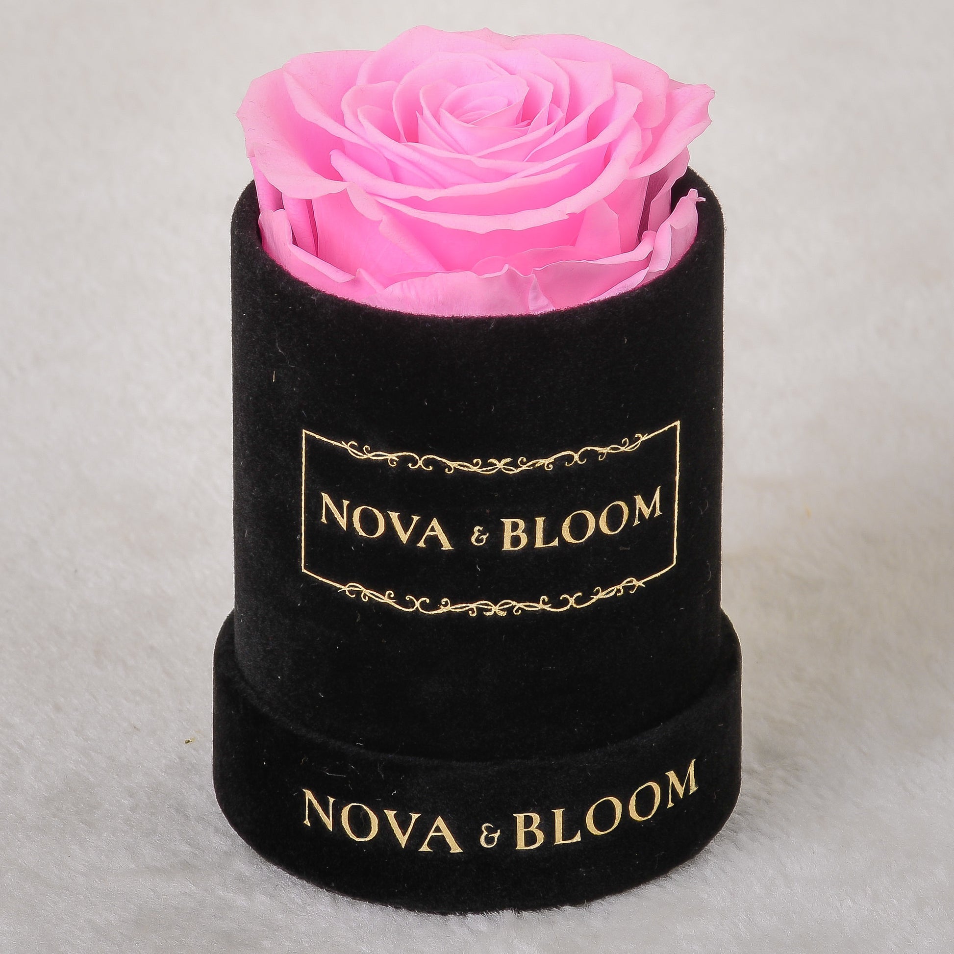 Single Velvet Black Round - Pink Preserved Rose - Front View 