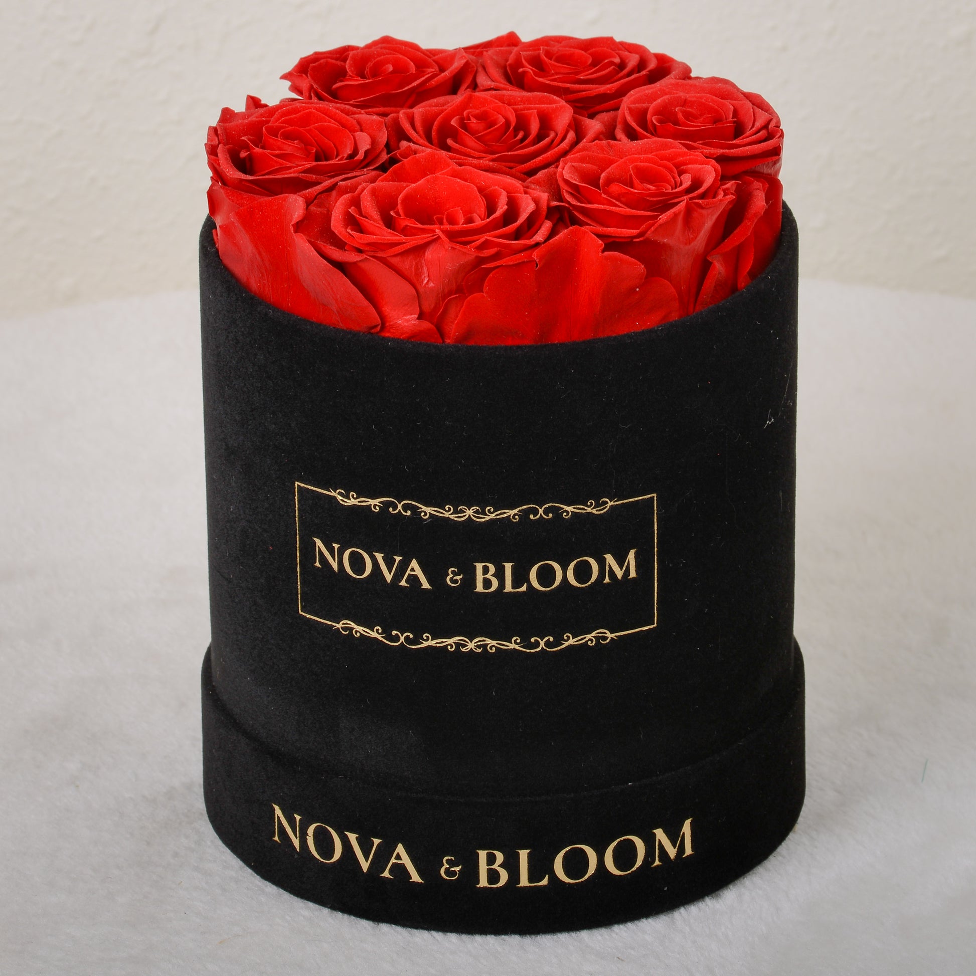 Medium Black Velvet Round Arrangement - Red Preserved Roses - Front View