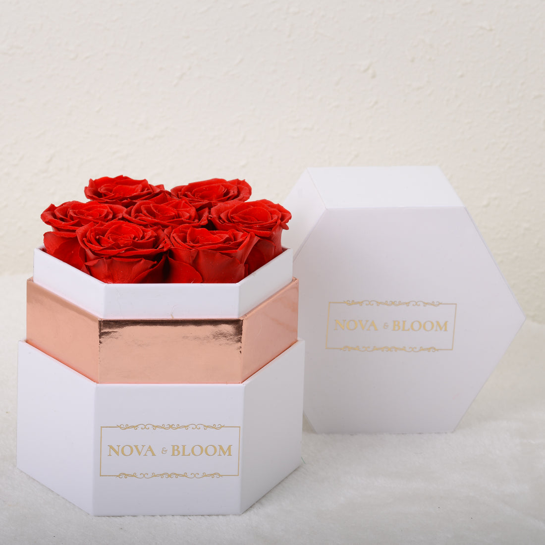 Medium Hexagon Eternal Blooms Red Roses Nova & Bloom