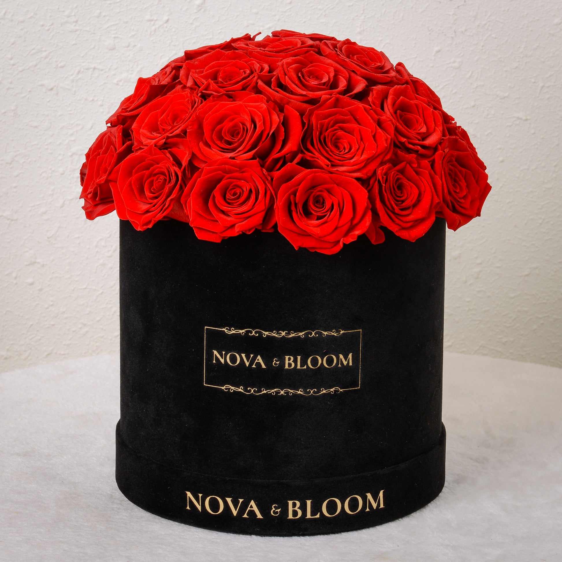 Black Velvet Dome - Red Preserved Roses 