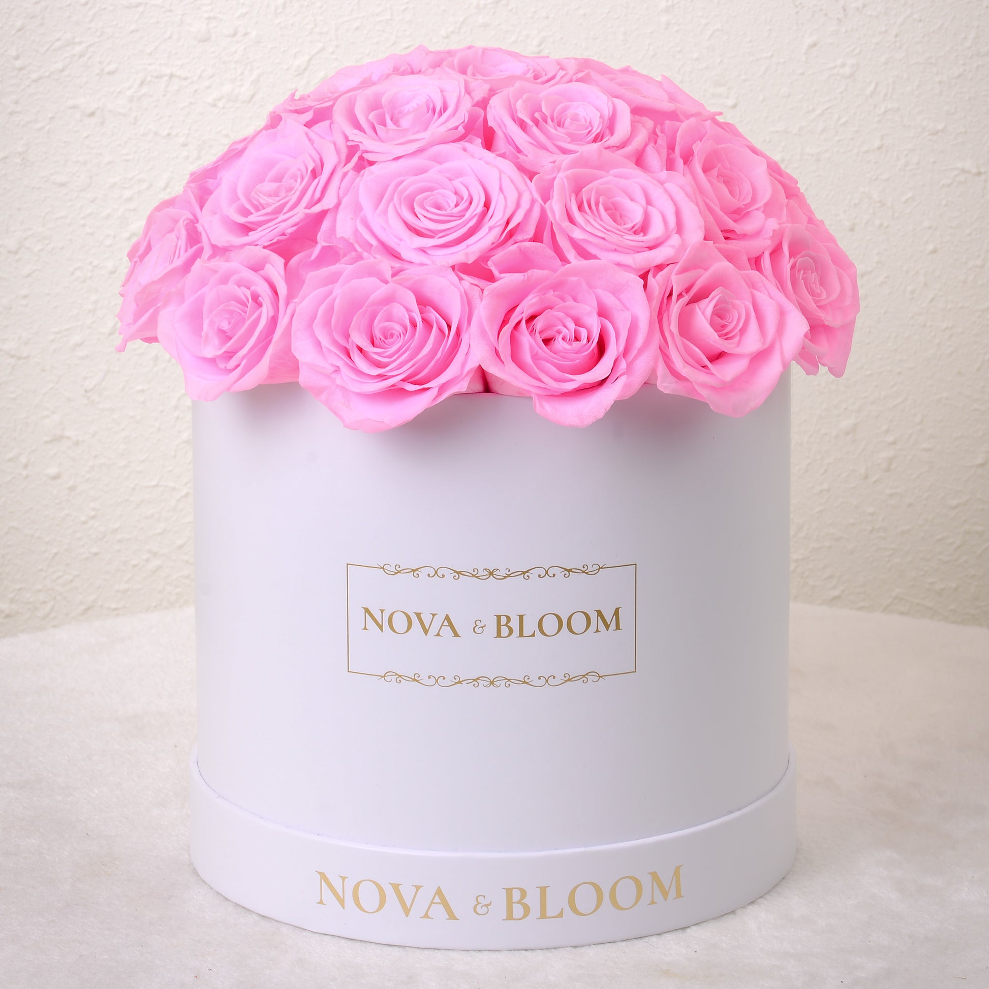 White Dome Eternal Bloom Arrangement - Pink Preserved Roses 