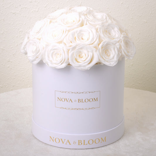 White Dome Eternal Bloom Arrangement - White Preserved Roses