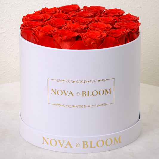 Large White Round Arrangement - Red Preserved Roses - Front View