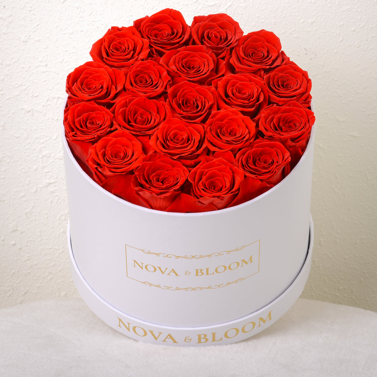 Round Shaped Roses Large White Round Eternal Blooms | Red Roses – Nova & Bloom