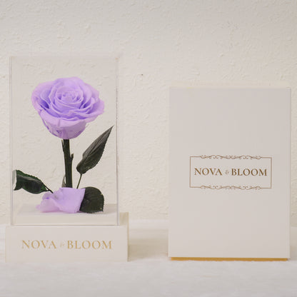 Single Stem Preserved Rose in Acrylic Box - Lavender Rose - Front View With Box