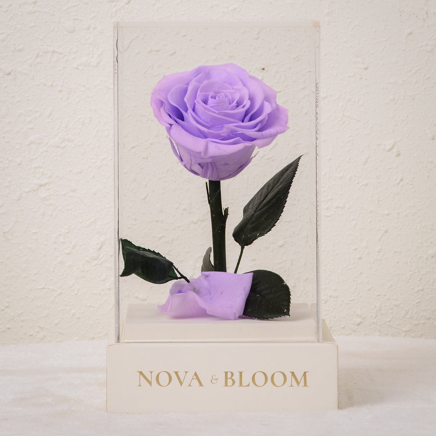 Single Stem Preserved Rose in Acrylic Box - Lavender Rose - Front View 