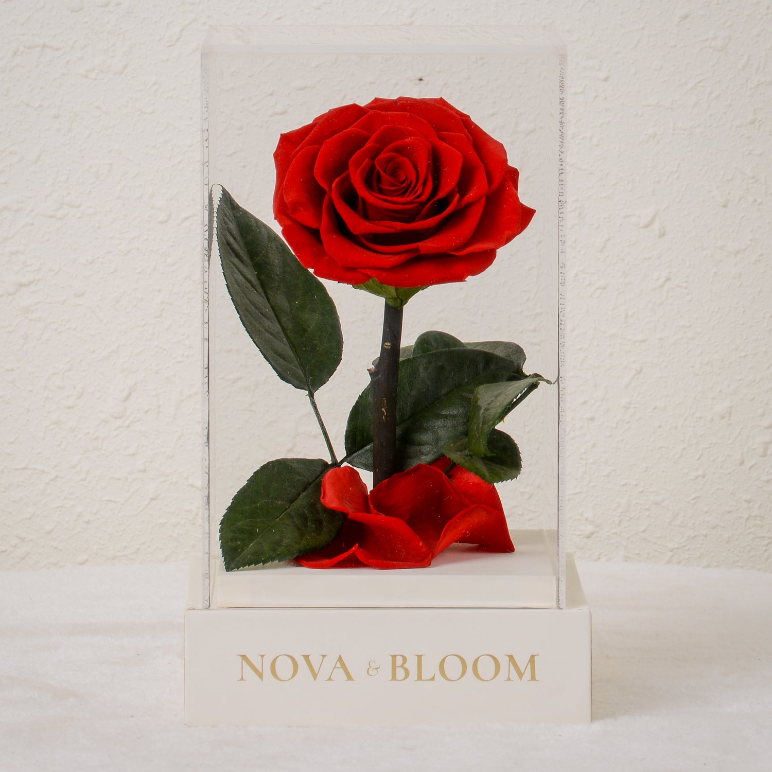 Single Stem Preserved Rose in Acrylic Box - Red Rose - Front View 