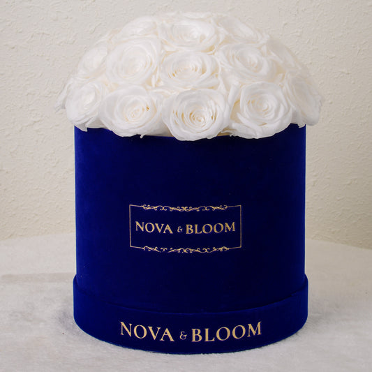 Blue Velvet Dome Eternal Bloom Arrangement - White Preserved Roses