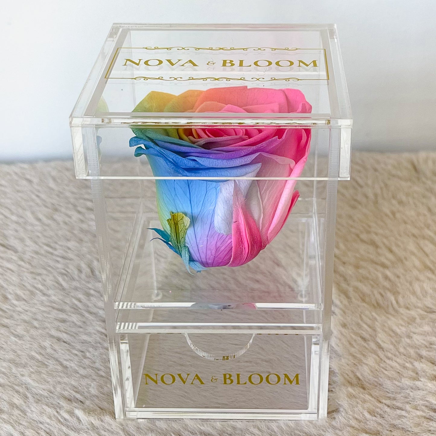 Single Acrylic Jewellery Box - Rainbow Preserved Rose - Front View 