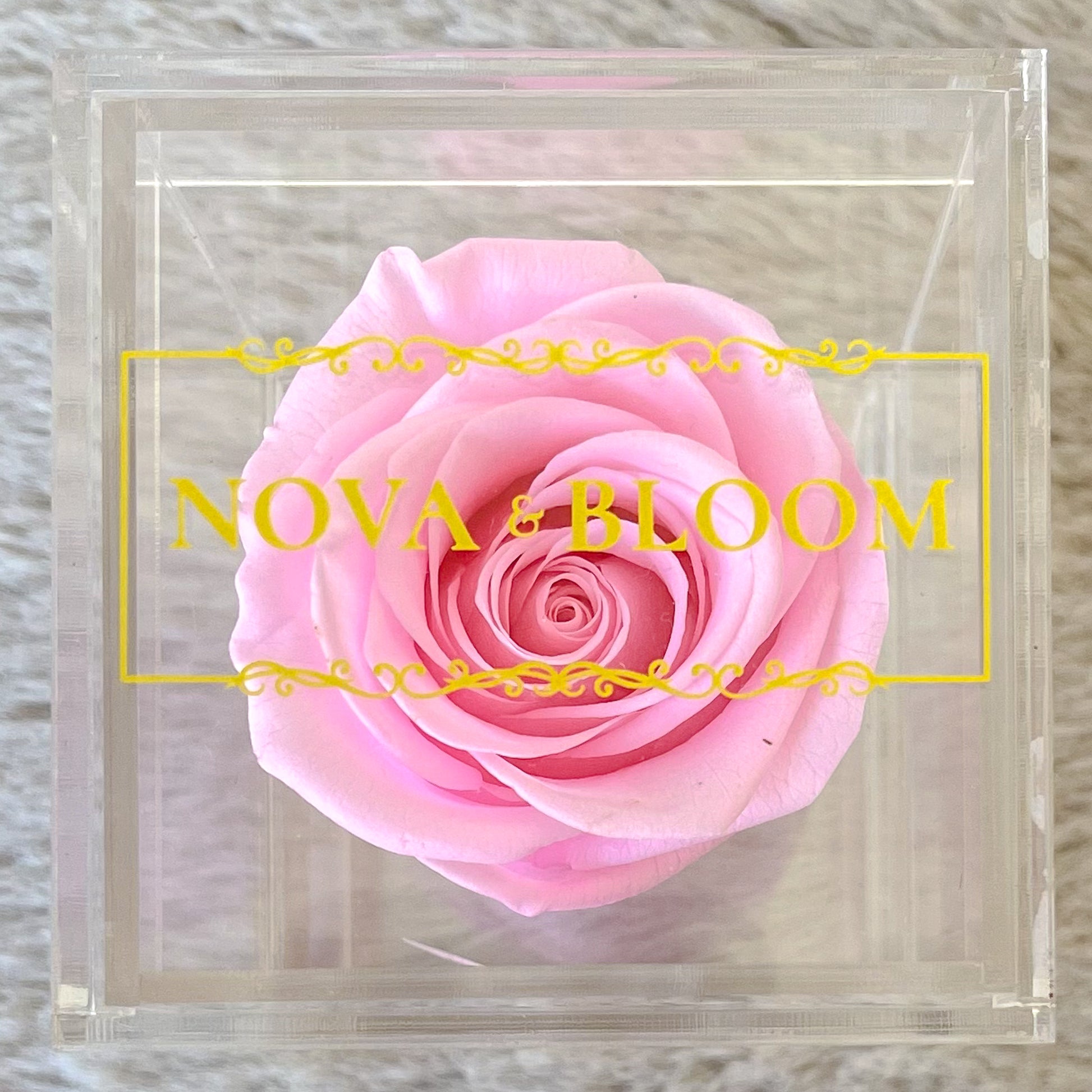 Single Acrylic Jewellery Box - Pink Preserved Rose - Top View 