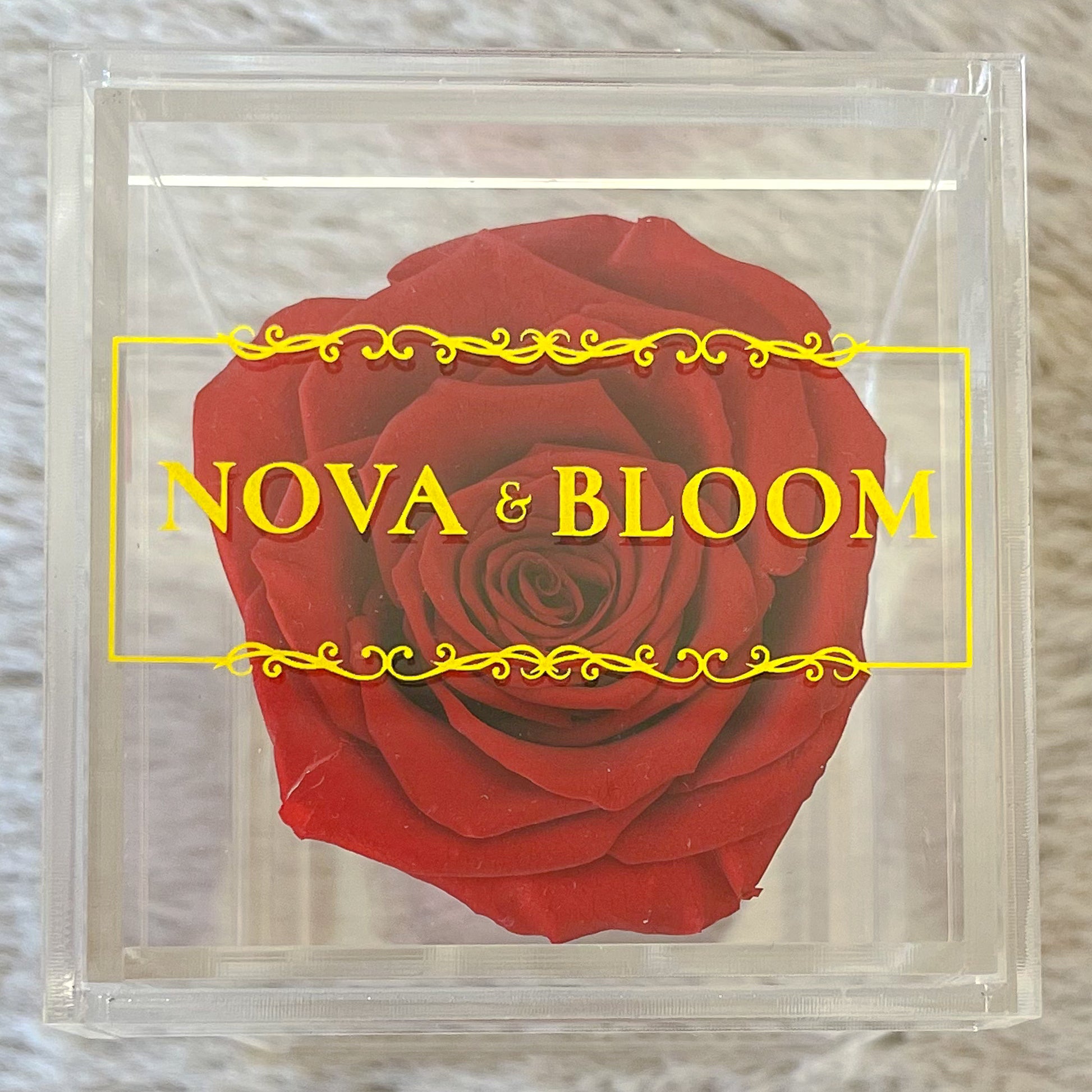 Single Acrylic Jewellery Box - Red Preserved Rose - Top View 